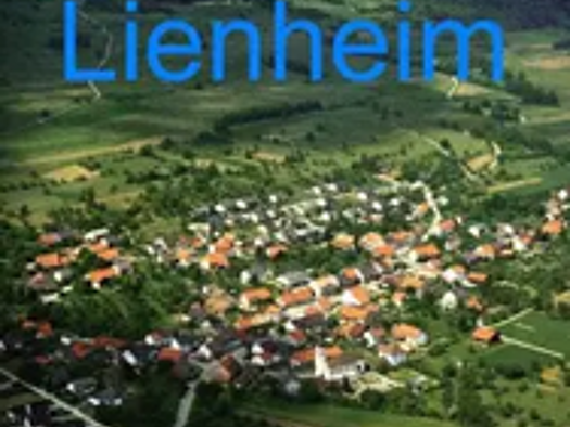 Wohnung zur Miete 770 € 3 Zimmer 93 m² Geschoss 1/3 frei ab 01.02.2026 Lienheim Hohentengen am Hochrhein 79801