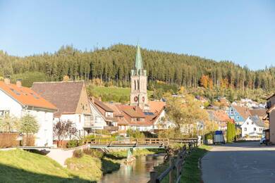 Wohnung zur Miete 420 € 3 Zimmer 73 m² Stadtgebiet Vöhrenbach 78147