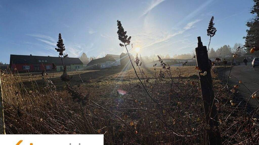 Grundstück zum Kauf 256.000 € 3.200 m² Grundstück Bischofsgrün 95493