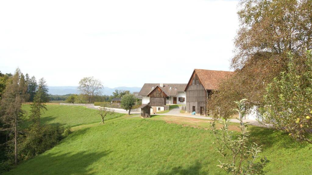 Land-/Forstwirtschaft zum Kauf 1.490.000 € 75.000 m² Grundstück Sankt Josef (Weststeiermark) 8503