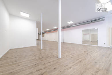 Verkaufsfläche zur Miete 4.000 € 5 Zimmer 232 m² Verkaufsfläche Basler Straße 153 Lörrach Lörrach 79539