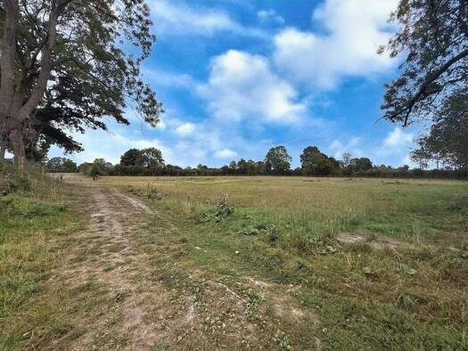 Land-/Forstwirtschaft zum Kauf 57.000 € 8.524 m² Grundstück Mardorf Neustadt 31535