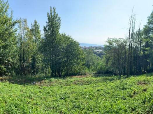 Grundstück zum Kauf 250.000 € 8.000 m² Grundstück Via Ponte Pier Villanuova sul Clisi