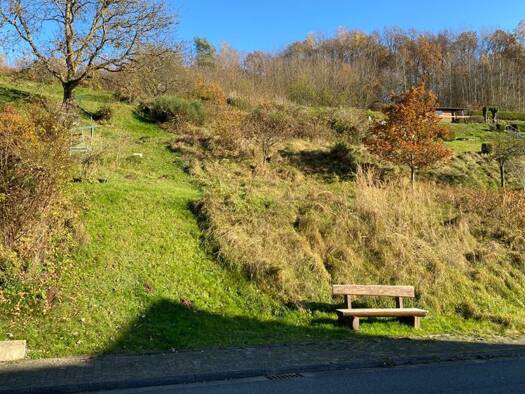 Grundstück zum Kauf provisionsfrei 49.000 € 1.785 m² Grundstück Lohrhaupten Flörsbachtal 63639