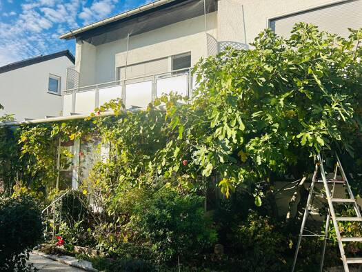 Mehrfamilienhaus zum Kauf als Kapitalanlage geeignet 765.000 € 9 Zimmer 210 m² 650 m² Grundstück Bergstraße Rüdigheim Neuberg 63543