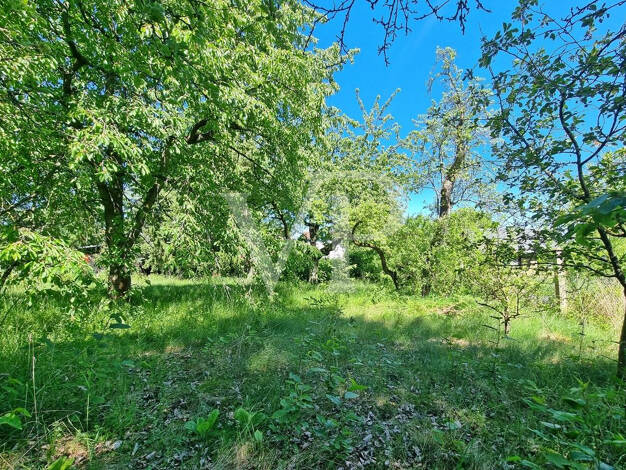 Grundstück zum Kauf 500.000 € 800 m² Grundstück Schönblick Weimar 99425