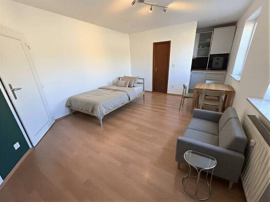 Wohnung zum Kauf 125.000 € 1 Zimmer 24 m² 2. Geschoss Innenstadt Erlangen 91054