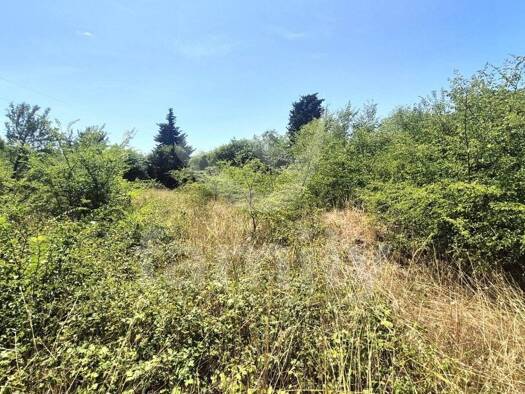 Acker-/Waldstück zum Kauf 46.000 € Vodnjan 52215