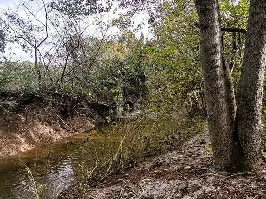 Grundstück zum Kauf 332.000 € 756 m² Grundstück Blumau-Neurißhof 2602