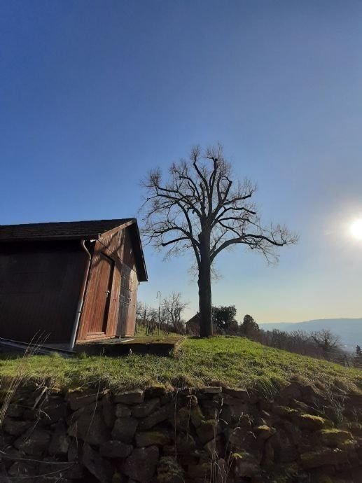 Freizeitgrundstück zum Kauf 60.000 € 1.026 m²<br/>Grundstück Obertürkheim Stuttgart 70329