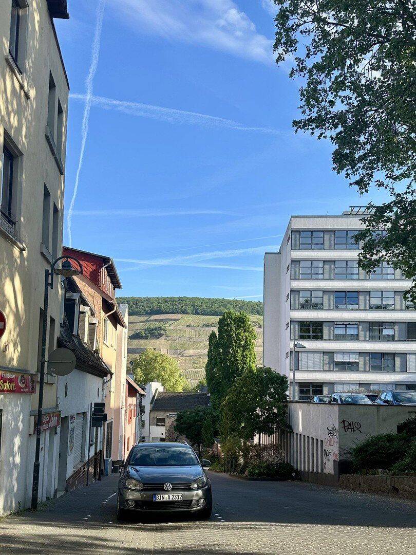 Mehrfamilienhaus zum Kauf - Ansicht 3