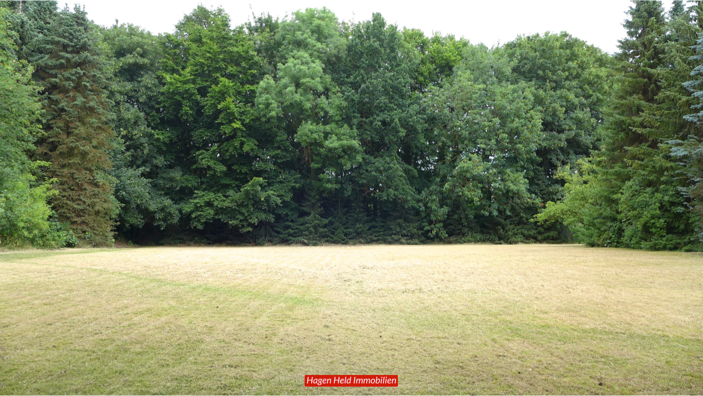 Immobilie in Rohlstorf - EFH/Nebengebäude 1950-2026, saniert, renoviert, überplant, 100 m² Wfl + Nfl.,4173 m² Grund, avi. Bauland, Raum und Fläche für viele Lebensziele - Bild 3