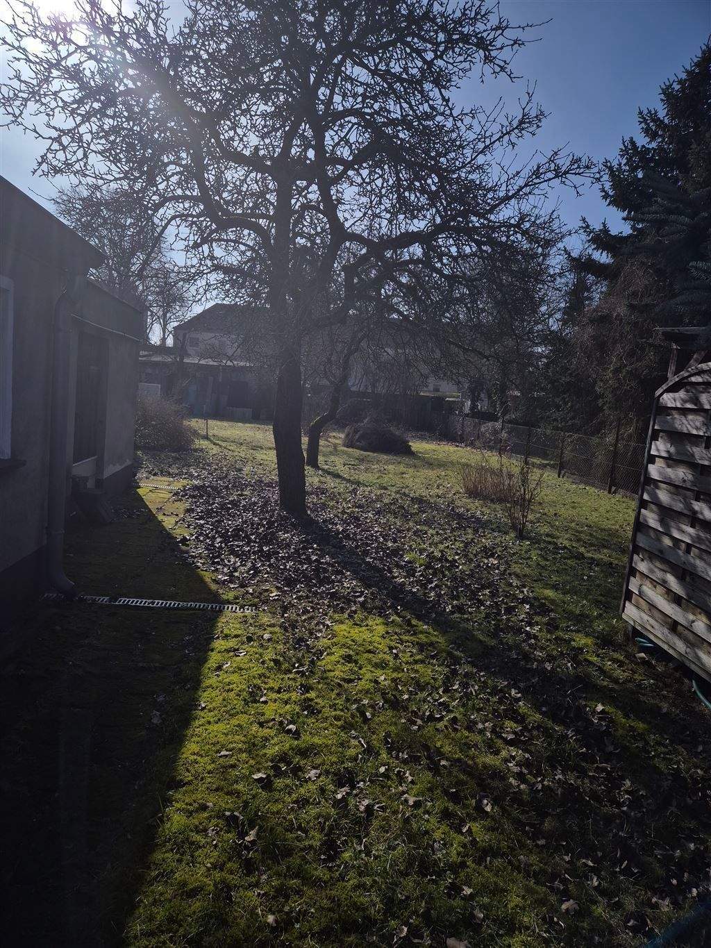Bungalow zum Kauf - Ansicht 5