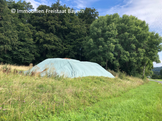 Land-/Forstwirtschaft zum Kauf provisionsfrei 1.150 m² Grundstück An der St9121 Gräfenbergerhüll Gräfenberg 91322