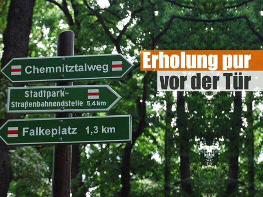 Wohnung zur Miete 640 € 3 Zimmer 75 m² Parkstr.15a Kapellenberg Chemnitz 09120