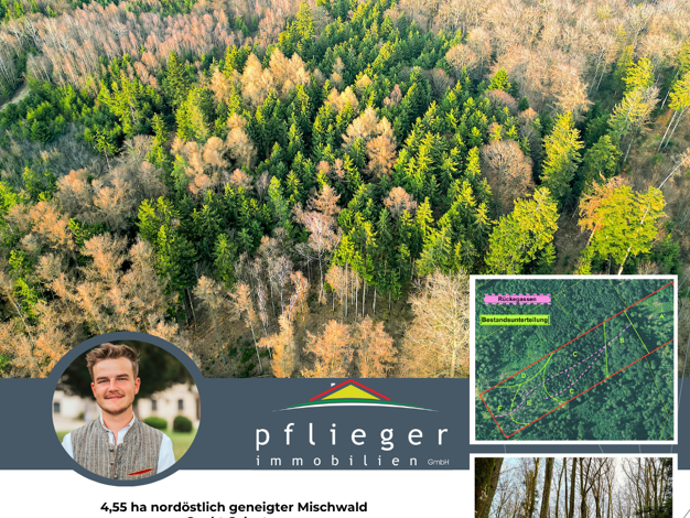 Forstwirtschaft zum Kauf 182.000 € 45.500 m² Grundstück Sankt Salvator Bad Griesbach i.Rottal 94086