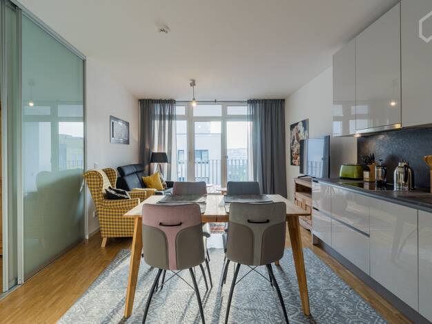 Studio zur Miete Wohnen auf Zeit 1.550 € 1 Zimmer 49 m² frei ab 15.07.2026 Prenzlauer Berg Berlin 10247