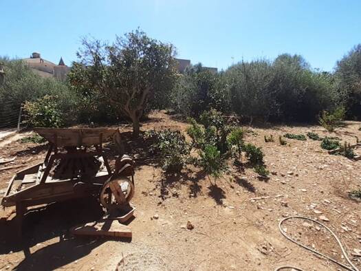 Grundstück zum Kauf 575.000 € 269 m² Grundstück Alqueria Blanca 07650