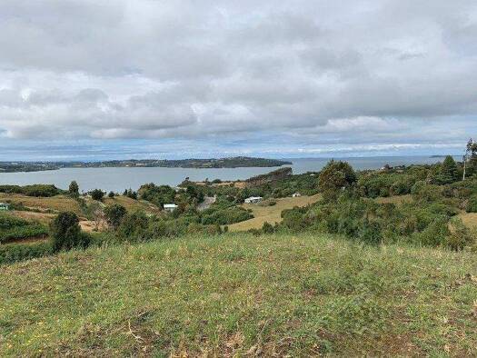 Büro zum Kauf 65.000.000 € Ancud