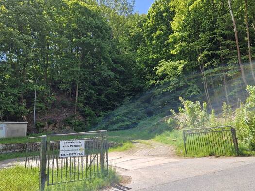 Grundstück zum Kauf 7.300 m² Grundstück Baugenehmigung vorhanden frei ab sofort Sebnitz Sebnitz 01855