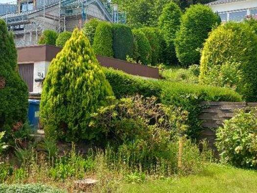 Doppelhaushälfte zum Kauf 479.000 € 5 Zimmer 120 m² 542 m² Grundstück Roßdorf 64380