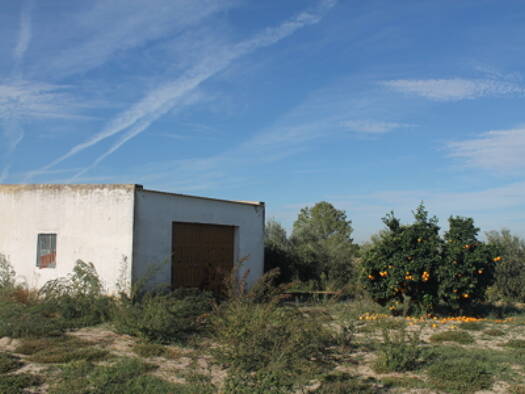 Bauernhaus zum Kauf provisionsfrei 41.000 € 3 Zimmer 90 m² 7.000 m² Grundstück Rociana del Condado 21720