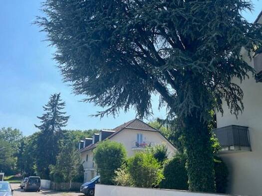 Wohnung zum Kauf 365.000 € 2 Zimmer 60 m² Geschoss 2/2 Thalk.Obersendl.-Forsten-Fürstenr.-Solln München 81476