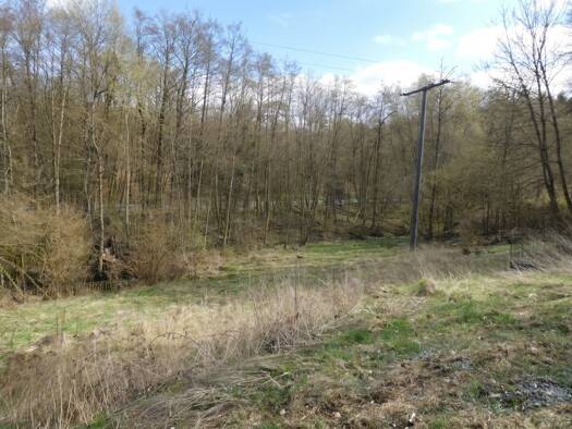 Grundstück zum Kauf 150.000 € 1.240 m² Grundstück Espa Langgöns 35428