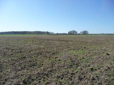 Land-/Forstwirtschaft zum Kauf 12.568 m² Grundstück Bieste Rieste 49597