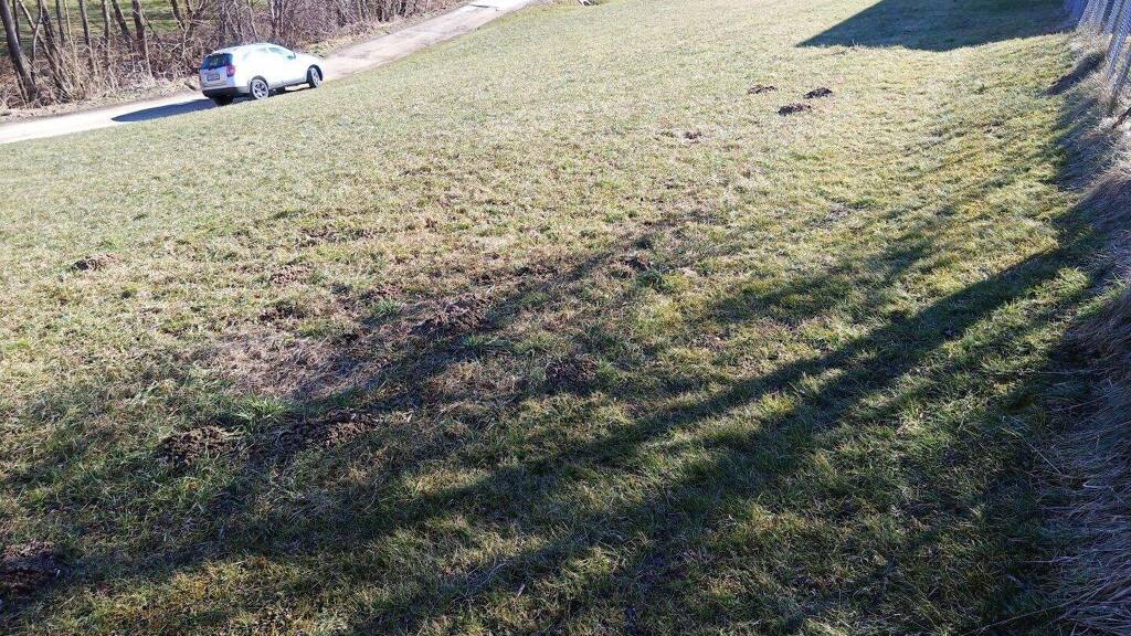 Grundstück zum Kauf 479.000 € 1.510 m² Grundstück Hart bei Graz 8075