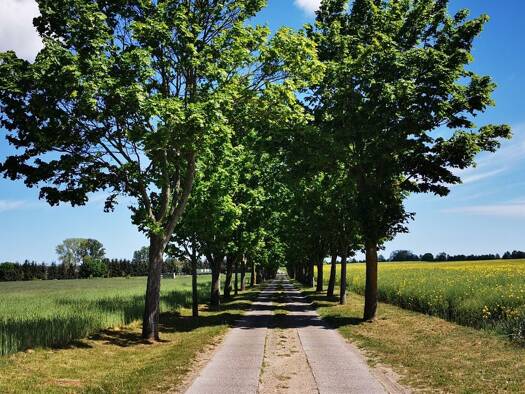 Mehrfamilienhaus zum Kauf als Kapitalanlage geeignet 489.000 € 10 Zimmer 280 m² 1.670 m² Grundstück Twechten Garßen Celle 29229
