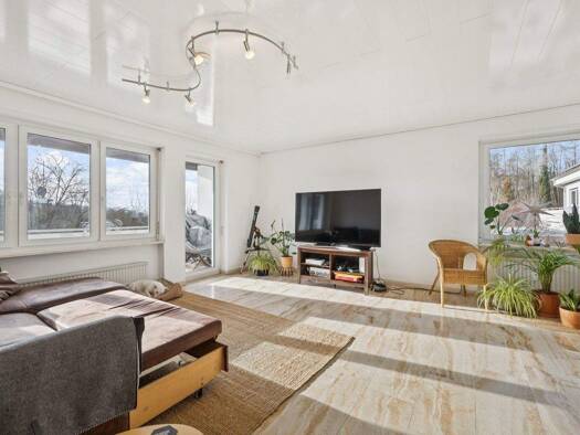 Mehrfamilienhaus zum Kauf 1.190.000 € 14 Zimmer 327 m² 745 m² Grundstück Grenzach Grenzach-Wyhlen 79639