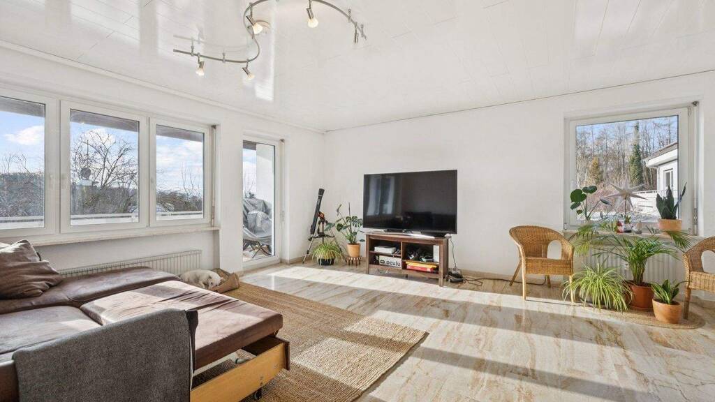 Mehrfamilienhaus zum Kauf 1.190.000 € 14 Zimmer 327 m² 745 m² Grundstück Grenzach Grenzach-Wyhlen 79639