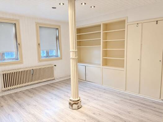 Wohnung zur Miete 430 € 1 Zimmer 46 m² EG Ostertor Bremen 28203