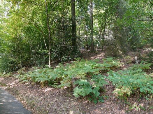 Grundstück zum Kauf provisionsfrei 174.000 € 2.447 m² Grundstück Wasserfuhr Gummersbach - Wasserfuhr 51647