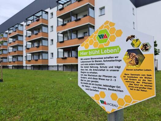 Wohnung zur Miete nur mit Wohnberechtigungsschein 347 € 3 Zimmer 57,8 m² 2. Geschoss Bundschuhstr. 49 Sudenburg Magdeburg 39116