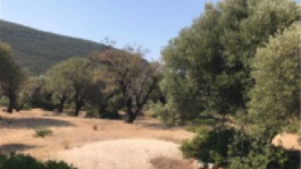 Land-/Forstwirtschaft zum Kauf 670.000 € 13.650 m² Grundstück Ionische Inseln