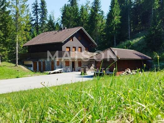 Einfamilienhaus zum Kauf 600.000 € 6 Zimmer 20.000 m² Grundstück Ravna Gora 51314