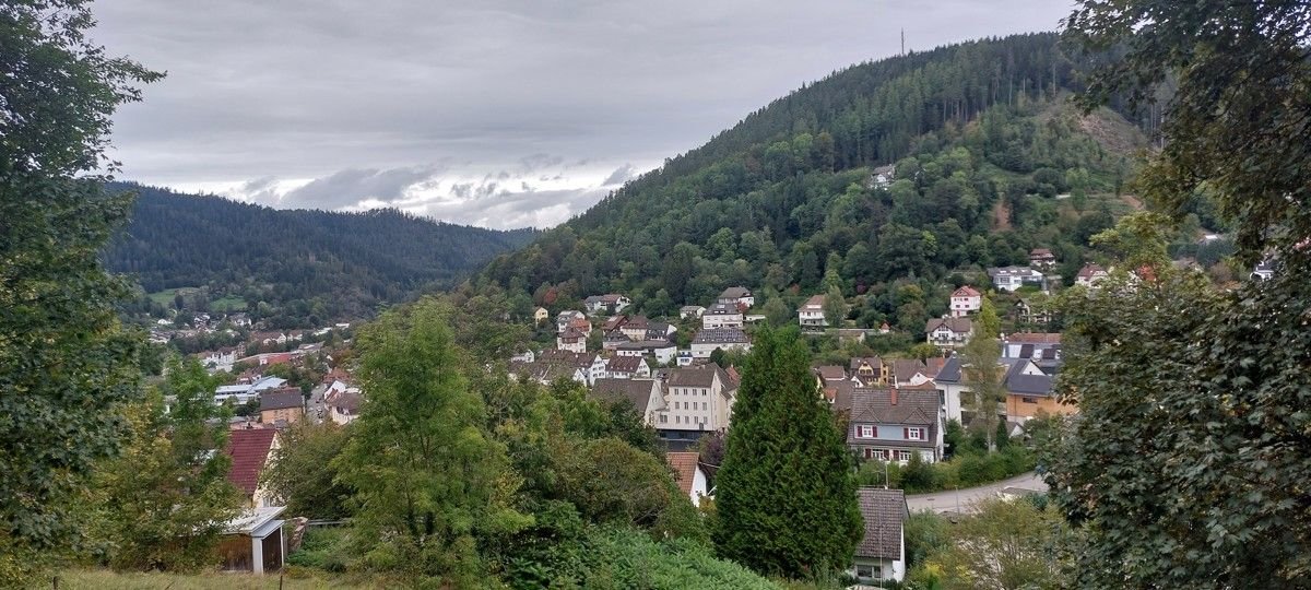 Grundstück zum Kauf 220.000 € 1.570 m²<br/>Grundstück Schramberg Schramberg 78713