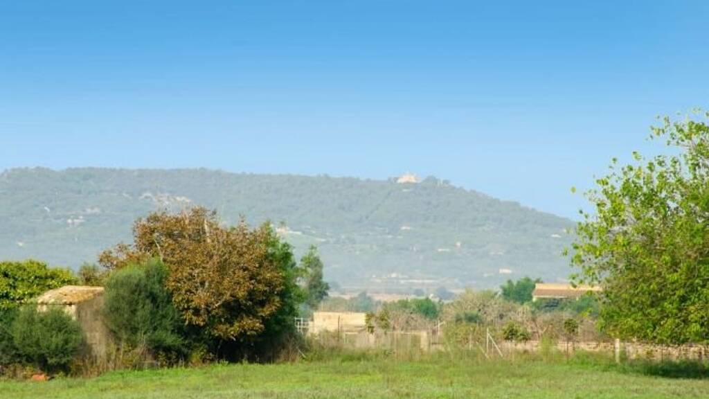 Haus zum Kauf 165.000 € 3 Zimmer 15.000 m² Grundstück Manacor