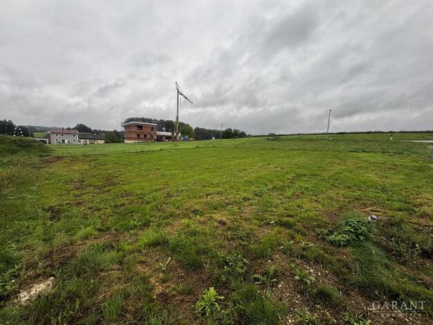 Grundstück zum Kauf 293.000 € 450 m² Grundstück frei ab sofort Tegernbach Pfaffenhofen a.d. Ilm 85276