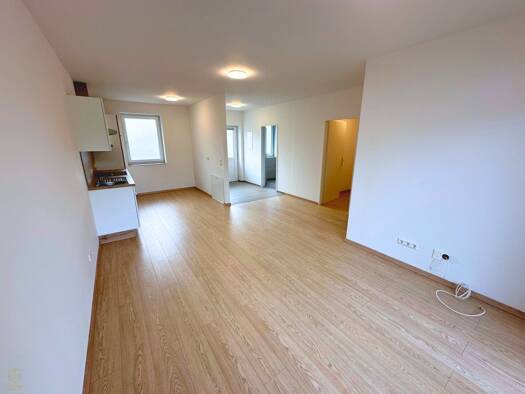 Wohnung zur Miete - Erstbezug 590 € 2 Zimmer 55 m² EG Herzogenburg 3130