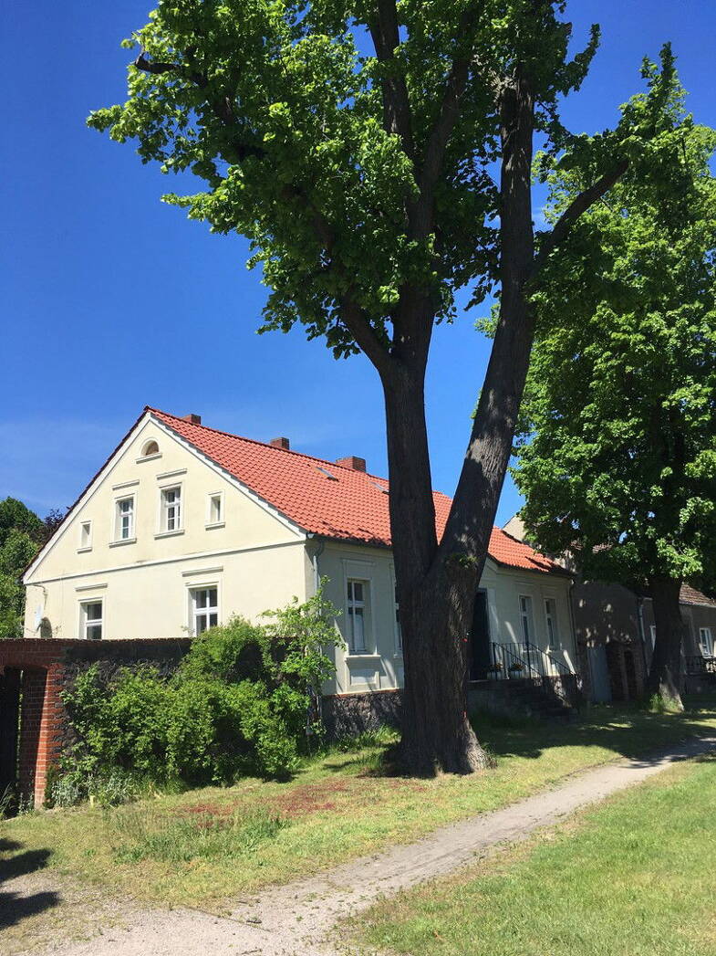 Bauernhaus zum Kauf provisionsfrei 360.000 € 9 Zimmer 380 m² 1.978 m² Grundstück Neuhardenberg Neuhardenberg 15320