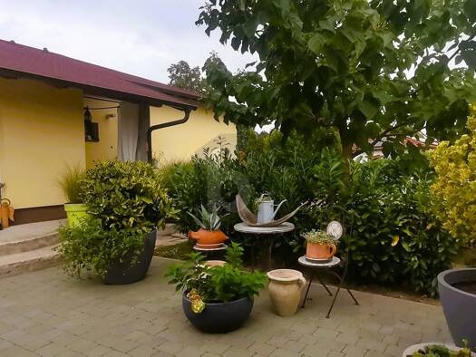 Einfamilienhaus zum Kauf 500.000 € 5 Zimmer 120 m² 1.013 m² Grundstück Siegendorf 7011