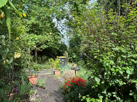 Grundstück zum Kauf 135.000 € 250 m² Grundstück Köpenick Berlin 12555