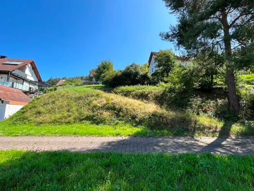 Grundstück zum Kauf 119.000 € 688 m² Grundstück Freudenberg 97896