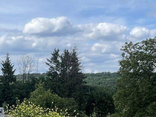 Grundstück zum Kauf provisionsfrei 158.025 € 301 m² Grundstück Altenburg Reutlingen 72768