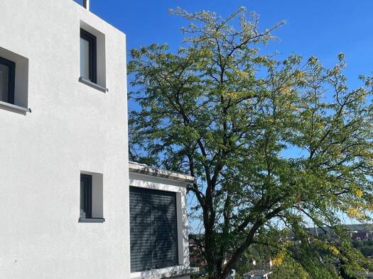 Terrassenwohnung zur Miete - Erstbezug 3.388 € 4 Zimmer 154 m² Geschoss EG/3 frei ab sofort Steinweg Regensburg 93059