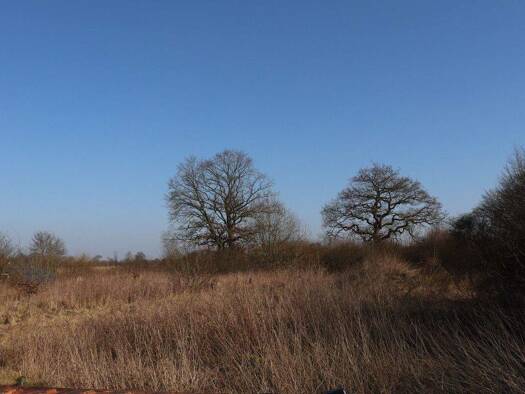 Gewerbegrundstück zum Kauf provisionsfrei 350.000 € 3.500 m² Grundstück Schleswig 24837