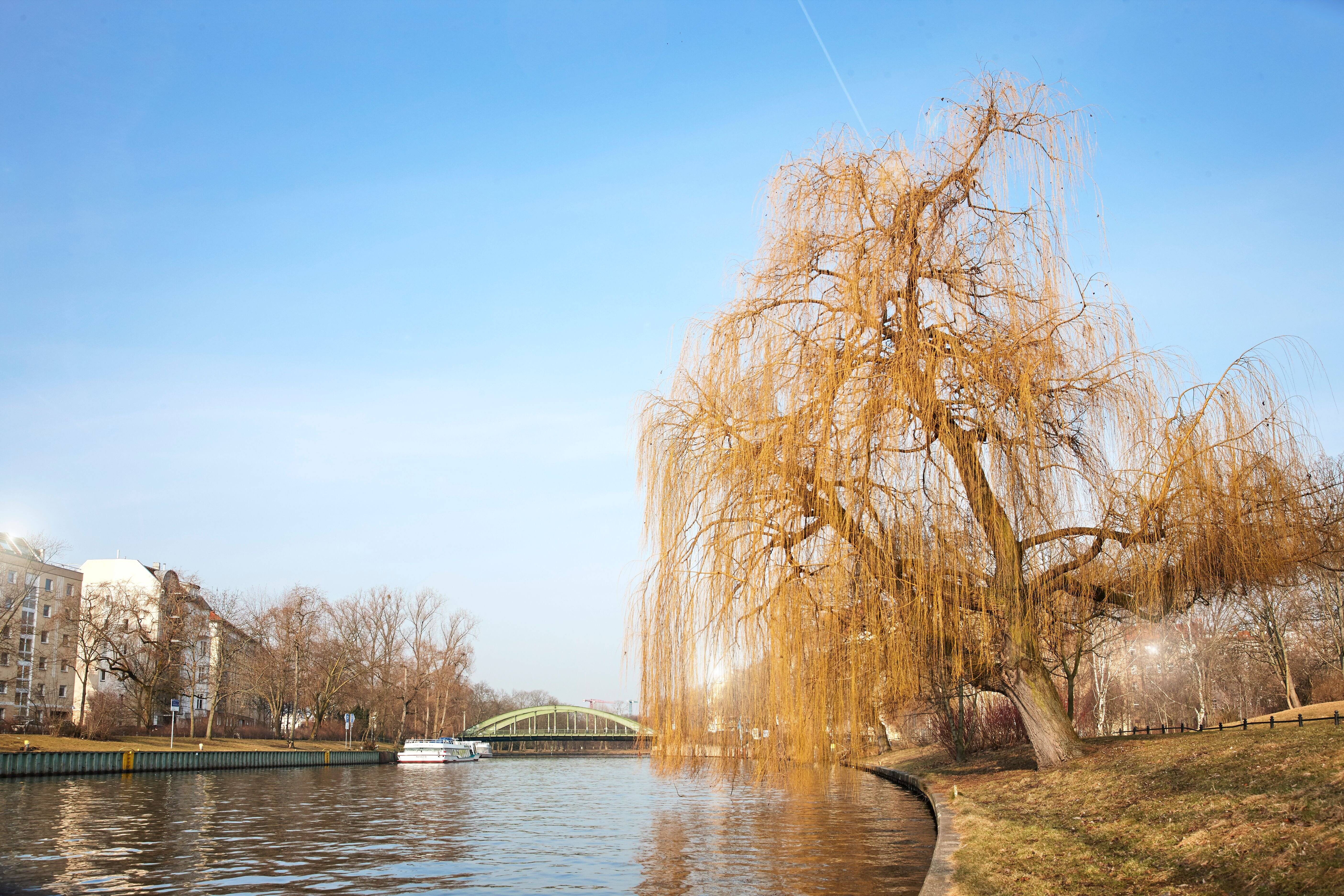 Property thumbnail 44